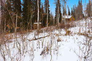 Snowy landscape with a view of trees