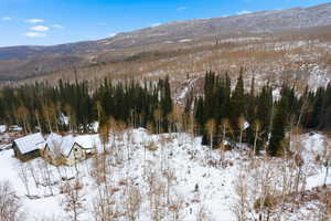 Mountain view with a heavily wooded area