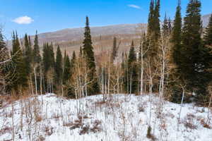 View of mountain backdrop featuring a forest