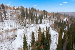 Snowy aerial view featuring a forest view