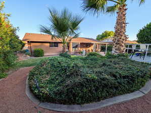Rear view of house with a patio and brick siding