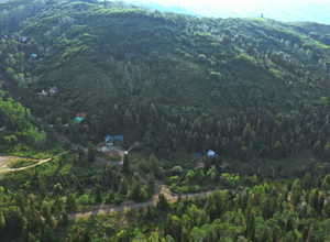 View of property location featuring a forest