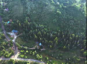 Aerial overview of property's location featuring a heavily wooded area