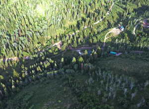 View of yard featuring a wooded view