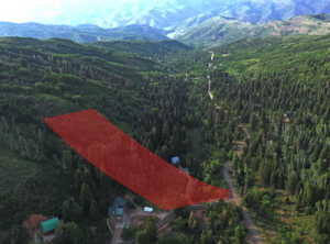 Aerial view of a mountainous background and a forest