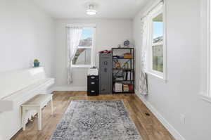 Office area with light wood-style floors