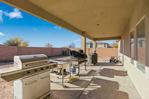 Fenced backyard featuring a patio and grilling area