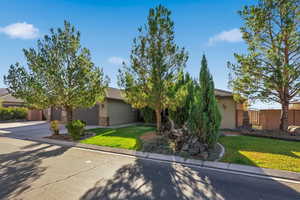 Obstructed view of property with a front lawn, concrete driveway, stucco siding, and a tiled roof