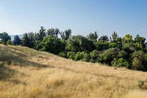 View of tree filled area featuring a view of countryside