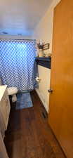 Full bath with vanity, a shower with curtain, and dark wood-style flooring