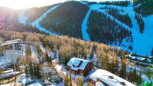 Snowy aerial view featuring a view of trees and a mountain view