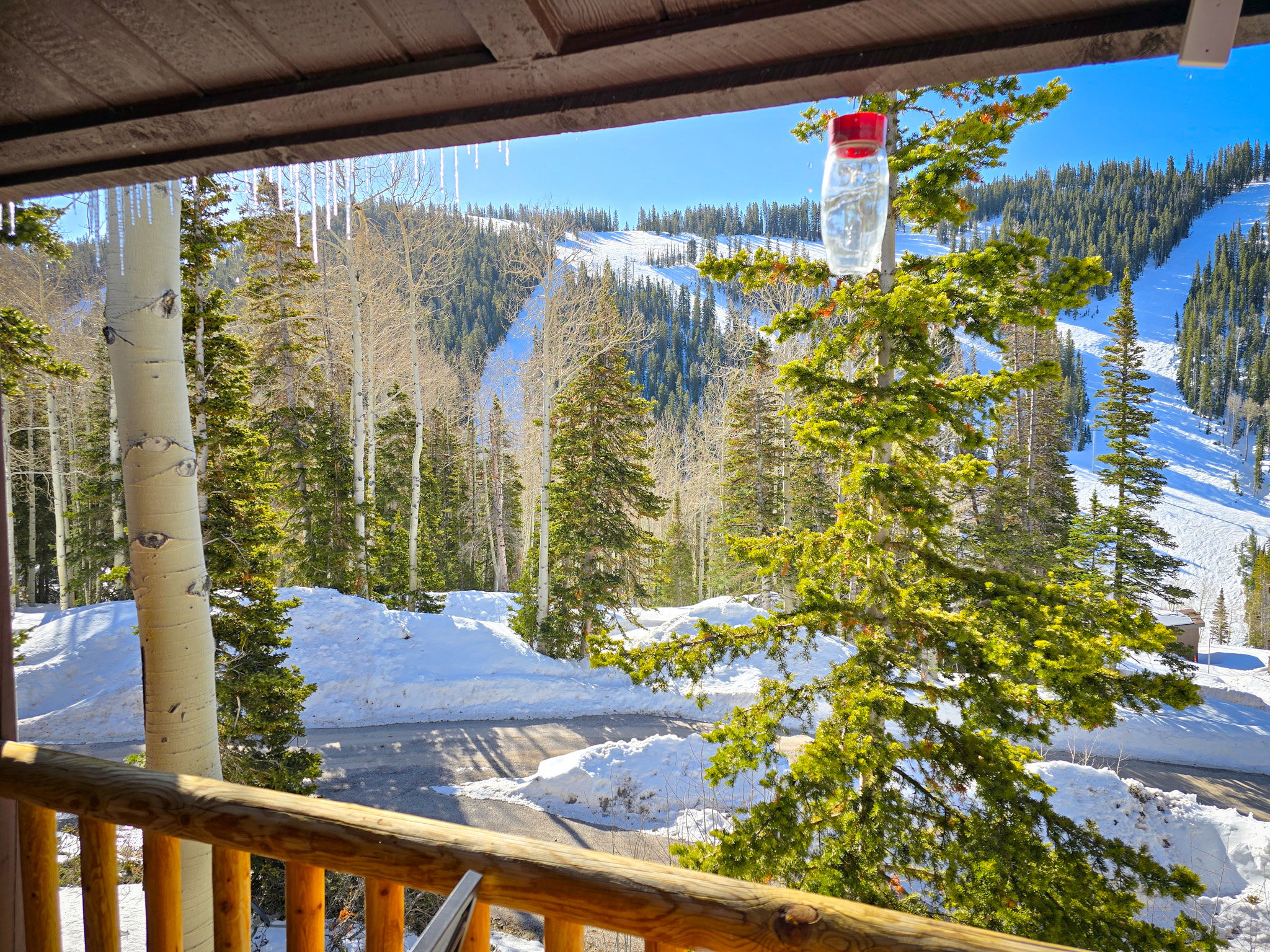 Water view with a heavily wooded area