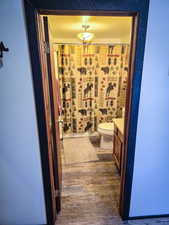 Bathroom with vanity and dark wood finished floors