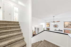 Stairway featuring carpet flooring