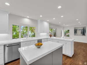 Kitchen with stainless steel dishwasher, a kitchen island, dark wood finished floors, white cabinetry, and backsplash