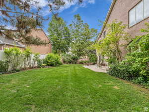 View of yard featuring a patio