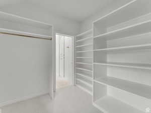 Walk in closet with light carpet