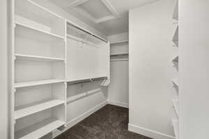 Walk in closet with attic access and dark colored carpet