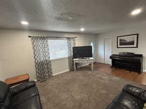 Carpeted living area featuring recessed lighting and a textured ceiling