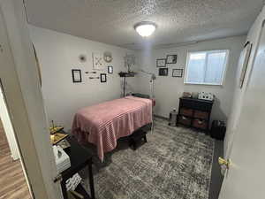 Bedroom with a textured ceiling