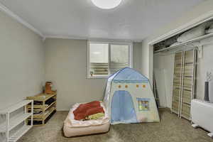 Playroom featuring carpet