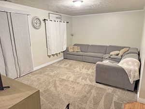 Living area with a textured ceiling, ornamental molding, and light carpet