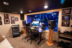 Office featuring light colored carpet and baseboards