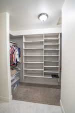 Spacious closet with light carpet