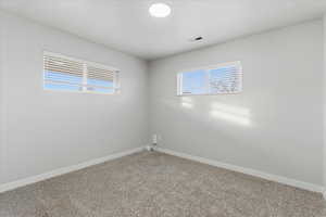 Spare room with carpet flooring and healthy amount of natural light