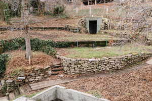 View of yard with a trampoline
