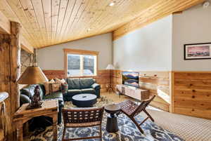 Living area with wood ceiling, wood walls, a wainscoted wall, and carpet
