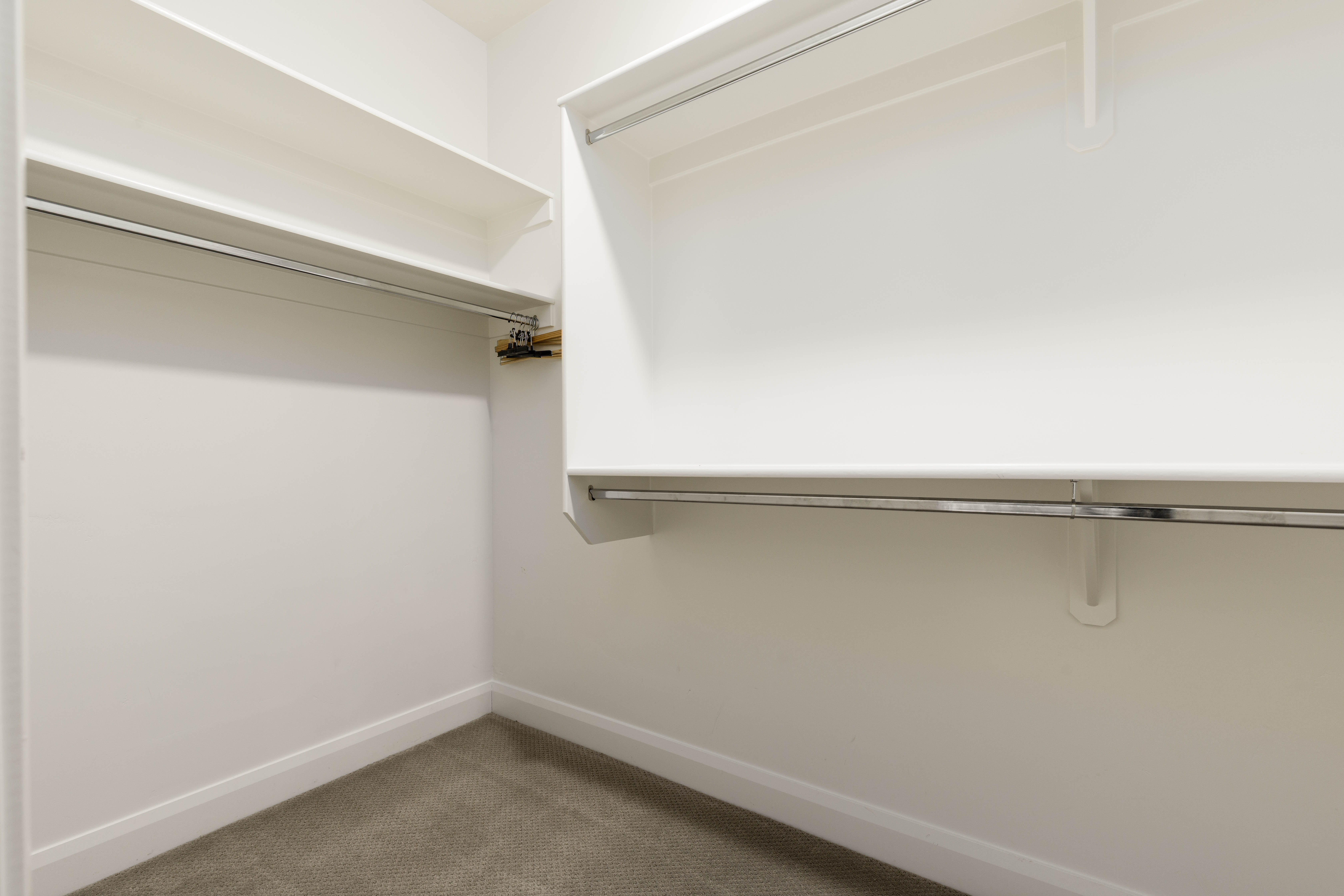 Walk in closet with light colored carpet