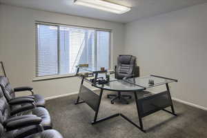 Home office with dark carpet and a textured ceiling