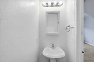 Bathroom with wood finished floors and a sink