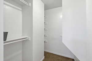 Spacious closet featuring dark colored carpet