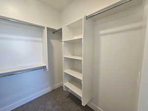 Walk in closet featuring dark colored carpet