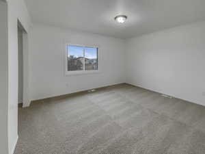Spare room with light colored carpet and crown molding