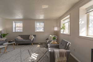 Living area with carpet, a textured ceiling, and ornamental molding