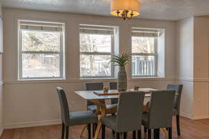 Dining room featuring wainscoting, wood finished floors, a textured ceiling, and healthy amount of natural light