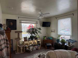 3 Bedroom Lower Unit