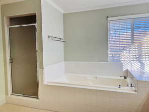 Bathroom featuring crown molding, a shower stall, and a bath
