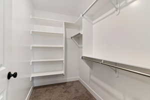 Walk in closet featuring dark colored carpet