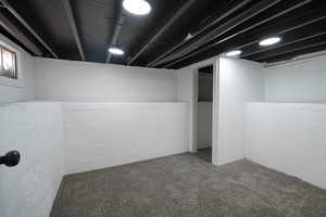 View of finished basement