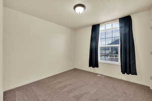 Spare room with carpet floors and a textured ceiling