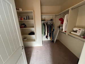 Walk in closet with light carpet