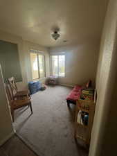 Recreation room featuring carpet flooring and a textured ceiling