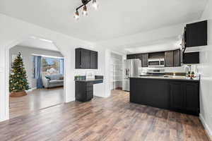 Kitchen featuring a peninsula, appliances with stainless steel finishes, arched walkways, dark wood-type flooring, and dark cabinetry