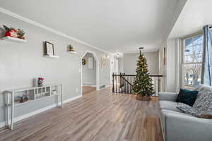 Living room featuring crown molding, light wood-style floors, and arched walkways