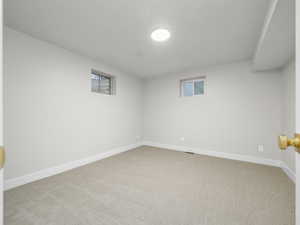 Basement with light carpet and plenty of natural light