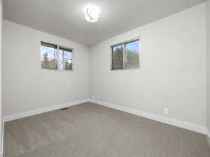 Unfurnished room featuring carpet floors and plenty of natural light